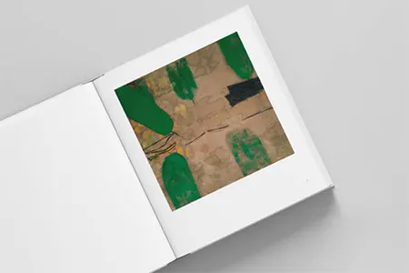 Volume 1 2020 book design project, graphic design by Sonia Cameron