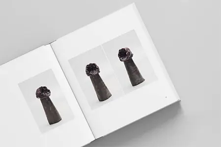 Volume 1 2020 book design project, graphic design by Sonia Cameron